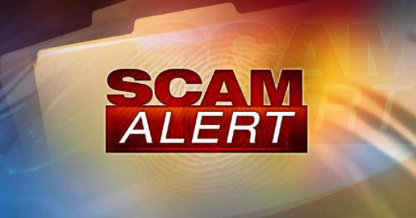 Maximum Shred Scam 87 Product With 4 Of Ingredients