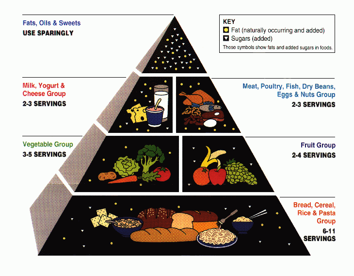 The Food Pyramid... Assassin of Millions of Americans