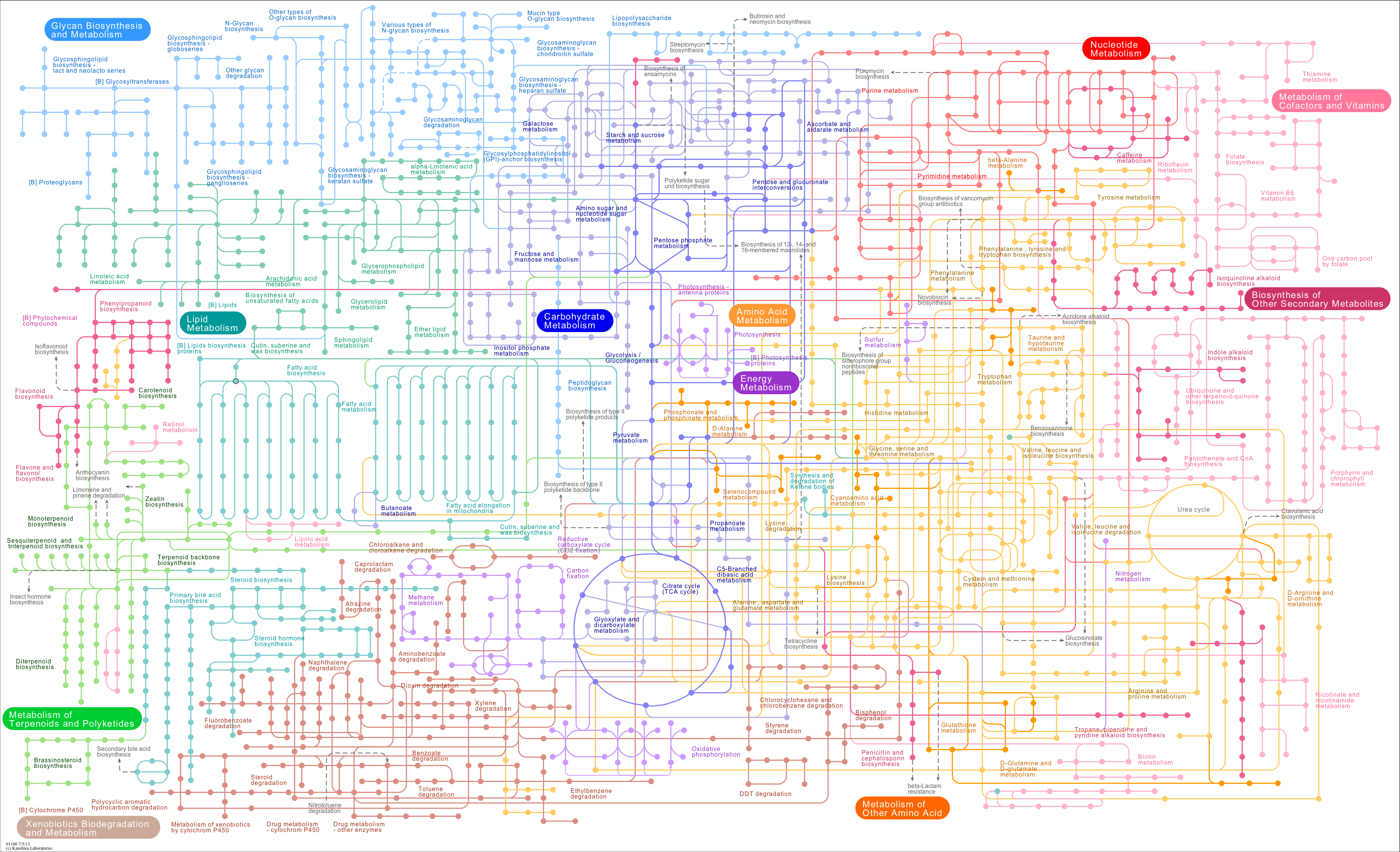 Pathway of the entire human metabolic process as currently understood