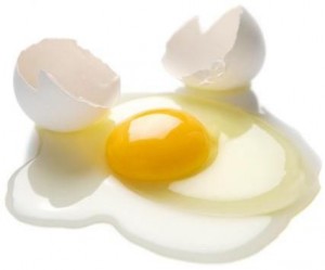 Egg Whites -- A Tremendous Source of Protein
