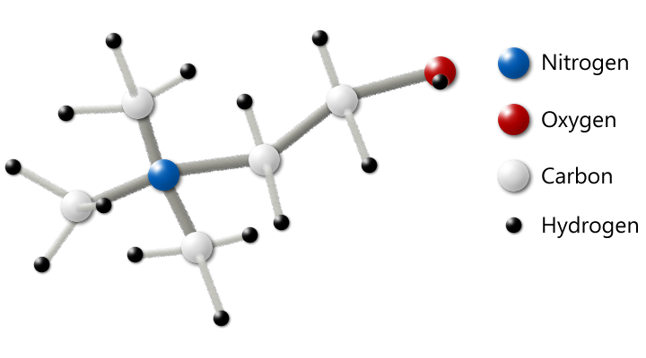 Choline Molecule