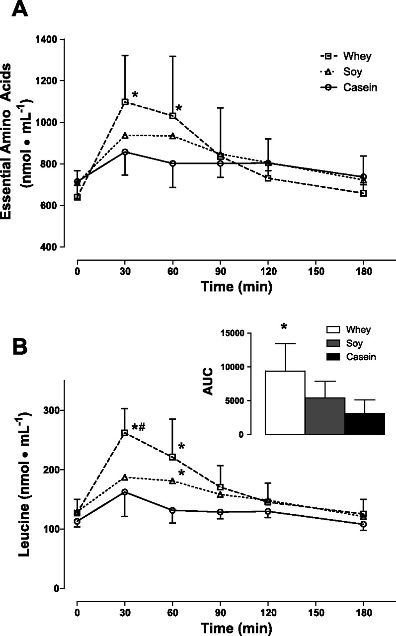 Whey protein is the most efficient at building and keeping lean muscle