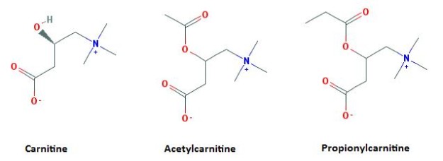 Types of Carnitine