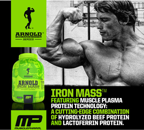 Arnold's Iron Mass - This is the one product in the Iron Series that we think has a hands-down winning formula