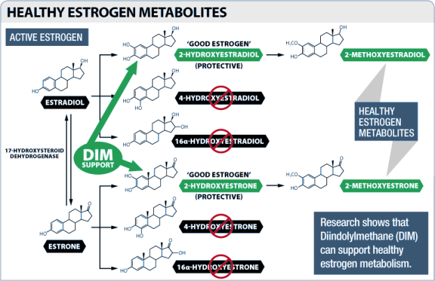 I3C / DIM Estrogen Metabolites