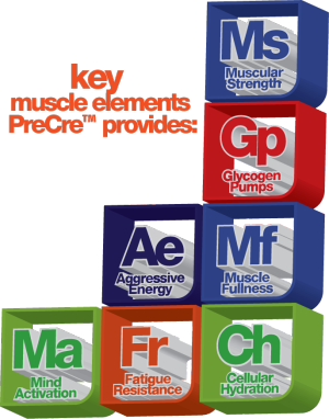 Muscle Elements Pre Cre Periodic Tbale