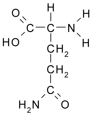 Glutamine structure