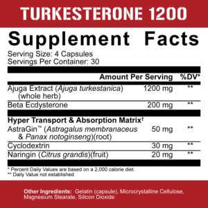 5% Nutrition Turkesterone 1200 Ingredients