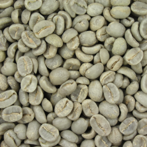 allmax-rapidcuts-thermo-non-stim-fat-burner-green-coffee-bean