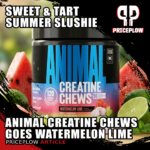 Animal Creatine Chews Add a Watermelon Lime Flavor