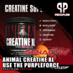 Animal Creatine XL