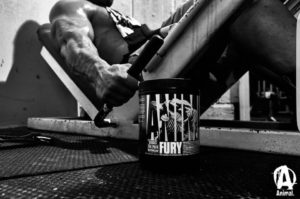 Animal Fury Leg Press