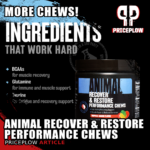 Animal Recover & Restore Performance Chews