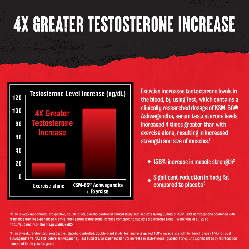 Animal Test 4x Greater Testosterone Increase