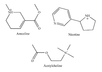 Arecoline Nicotine