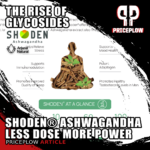 Ashwagandha Evolution: The Rise of Glycoside-Enhanced Extracts