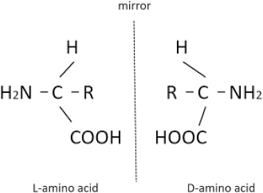 Aspartic Acid Chiral