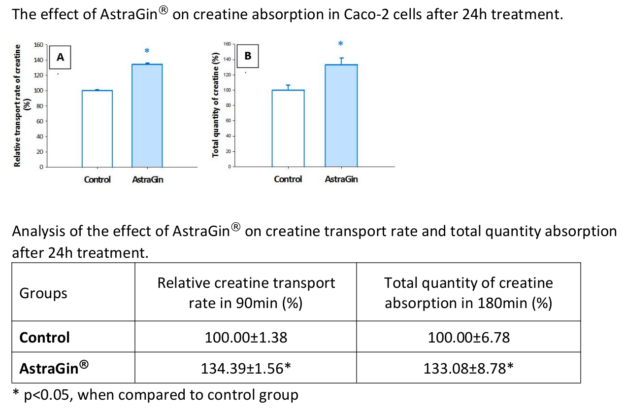 AstraGin Creatine