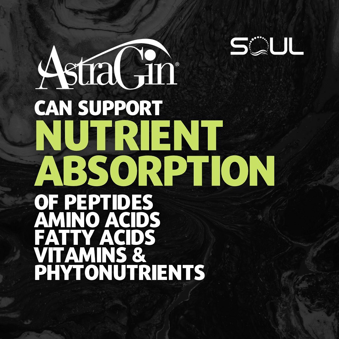 AstraGin Nutrient Absorption