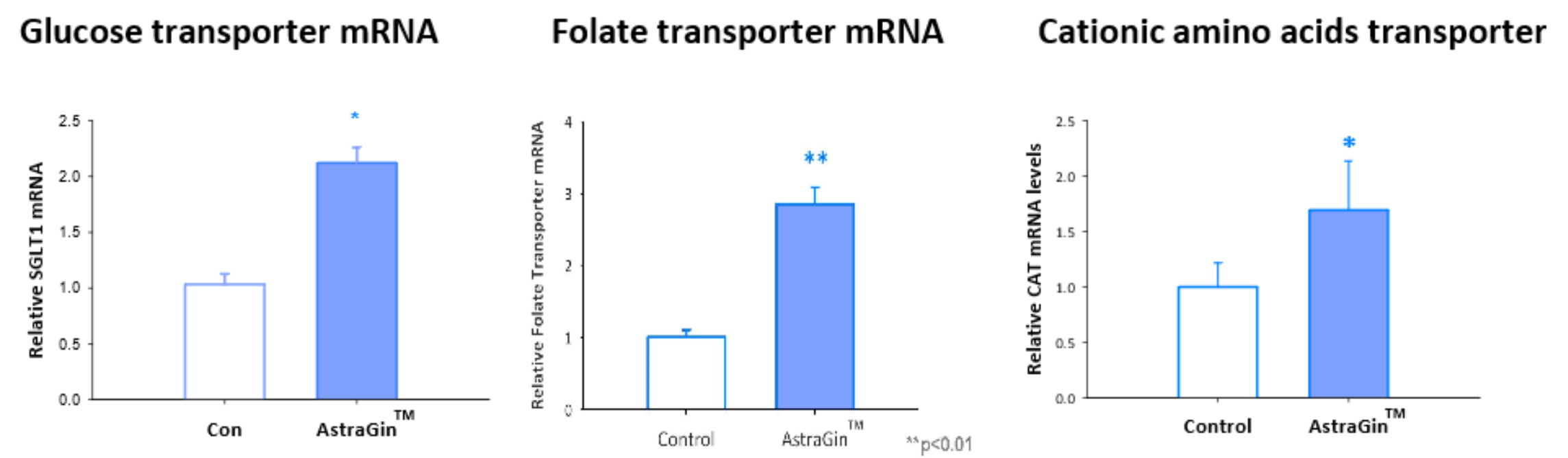 AstraGin Nutrient Transport Study Results