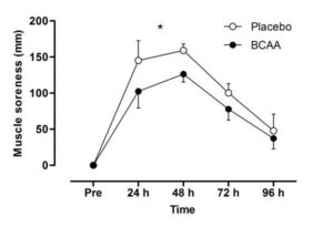 BCAA Muscle Soreness
