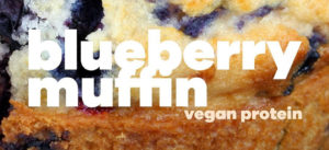 BEAM Vegan Blueberry Muffin