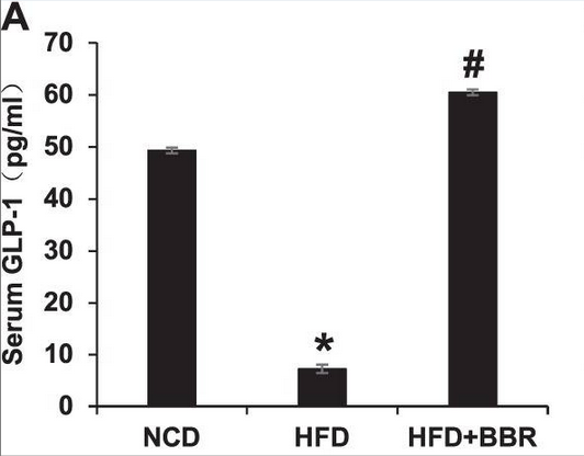 Berberine Enhances GLP-1 Signaling