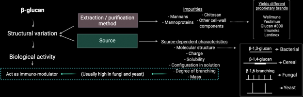 Beta-Glucans Extraction