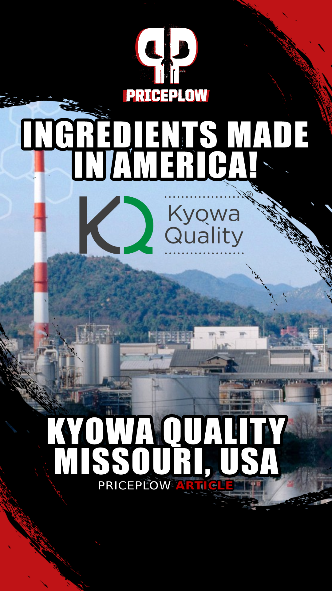 BioKyowa: Kyowa USA Dietary Supplement Ingredients Made in the USA!