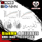 BioNMN