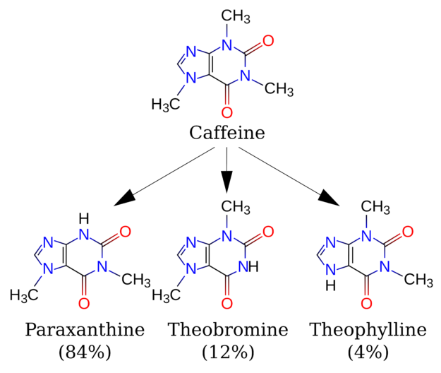Caffeine Metabolites