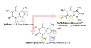 Caffeine Theacrine Dynamine