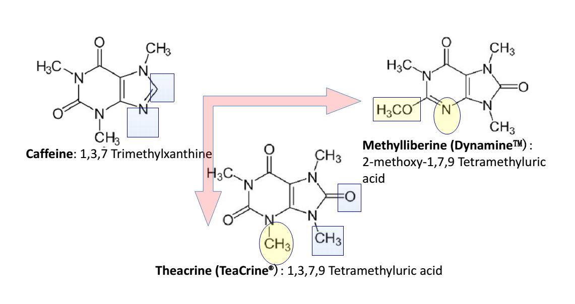 Caffeine Theacrine Dynamine
