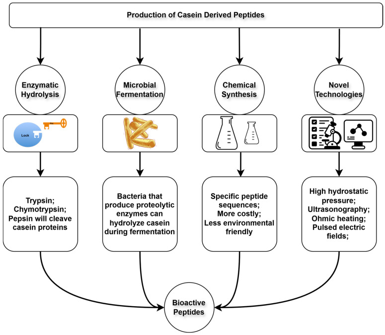 Production Methods for Casein-Derived Bioactive Peptides
