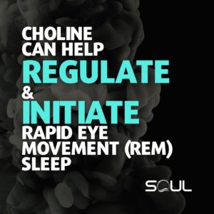 Choline Can Regulate & Initiate REM Sleep