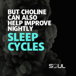 Choline and Sleep Cycles