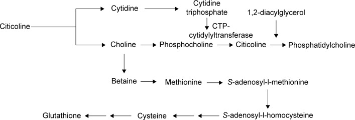 Citicoline Metabolic Pathway