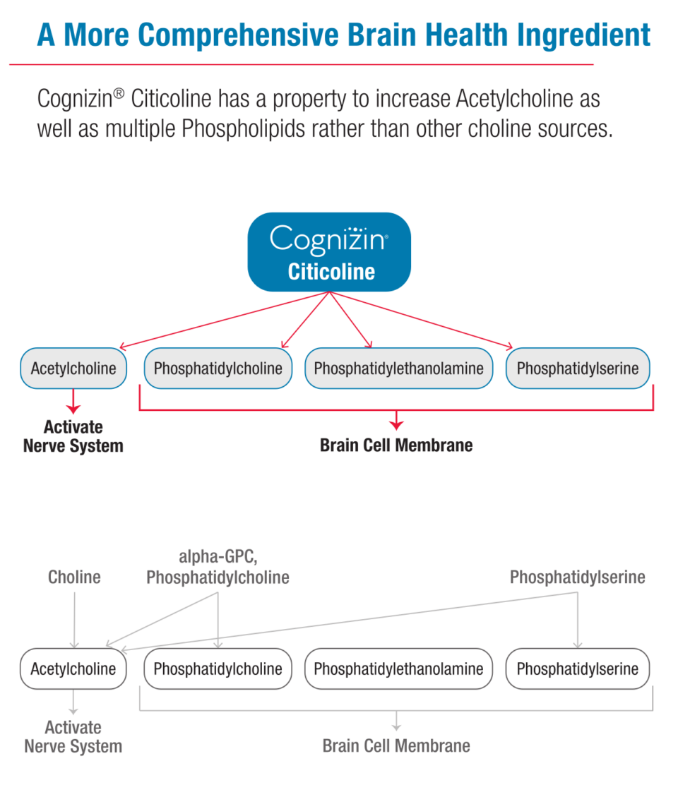 Cognizin® Citicoline: The Brain Choline