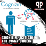 Cognizin Citicoline: The Brain Choline