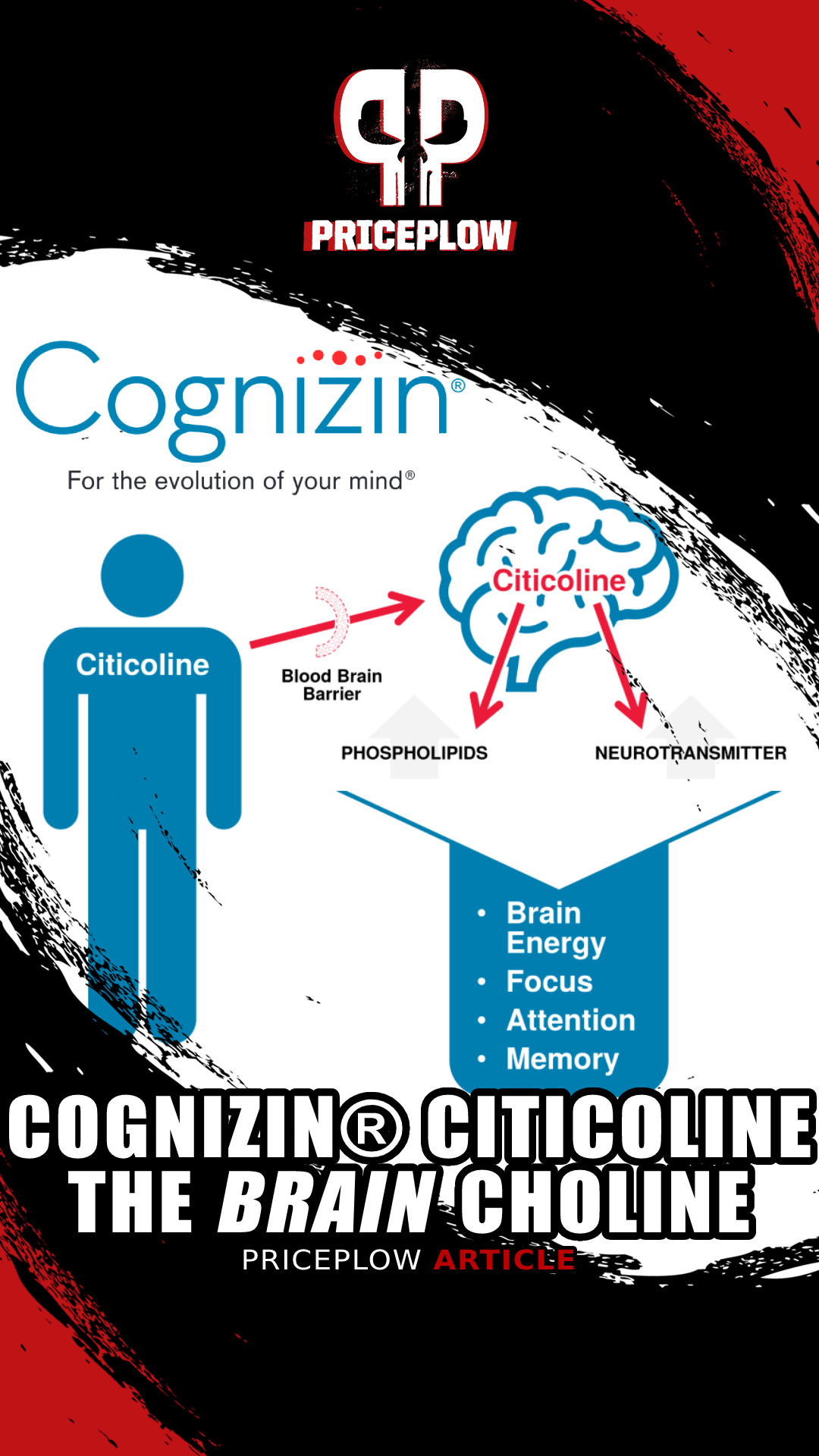 Cognizin Citicoline: The Brain Choline