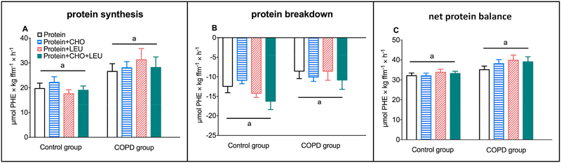 Protein Hydrolysate Effects on Whole Body Protein Balance in COPD Patients
