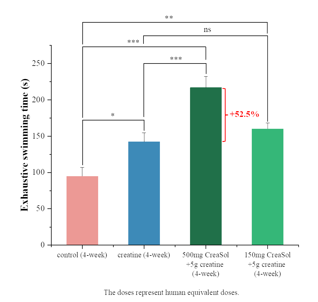 CreaSol Creatine Exhaustive Swimming Time 4 Week Dose Comparison