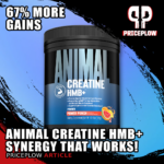 Why Creatine and HMB Work Better Together: The Science Behind Animal Creatine HMB+