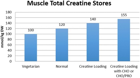 Creatine Muscle Stores