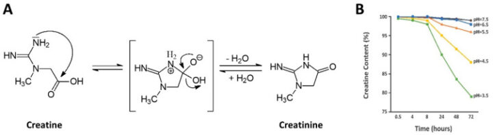 Creatine Myths Debunked: Basic Supplements Sets the Record Straight