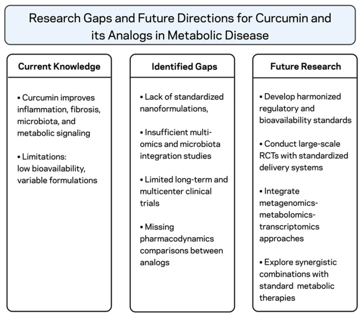 Curcumin Research Gaps and Future Directions in Metabolic Health