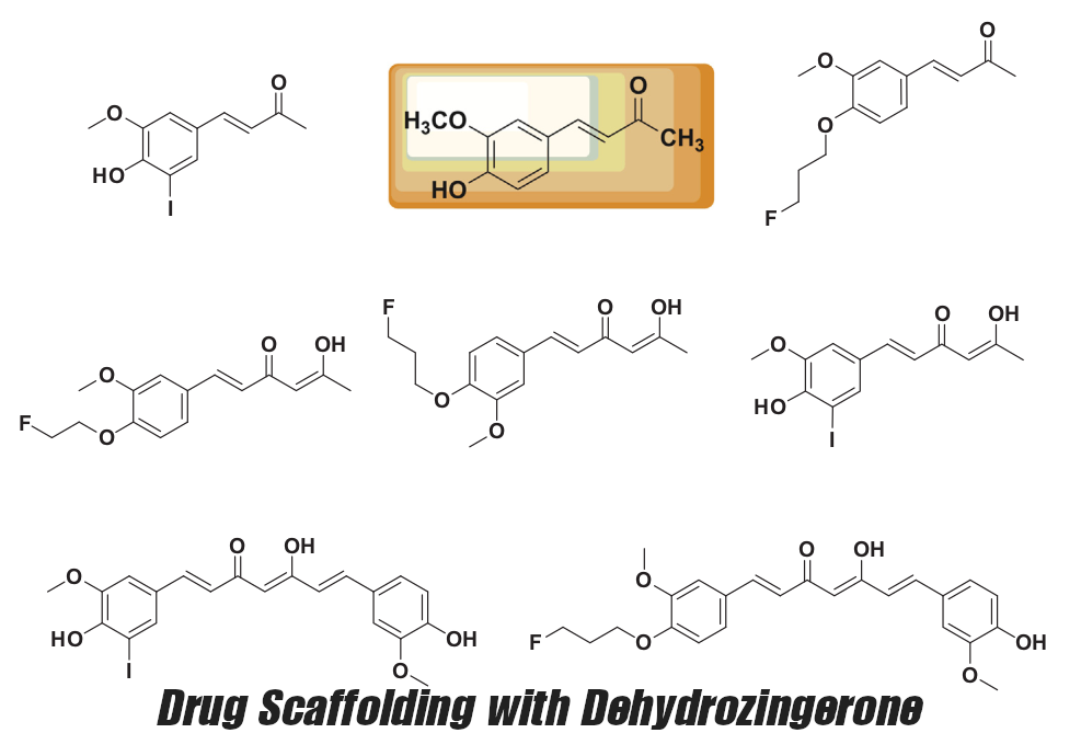 Dehydrozingerone Drug Scaffolding