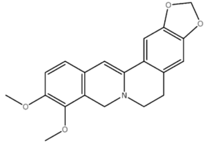 Dihydroberberine Molecule