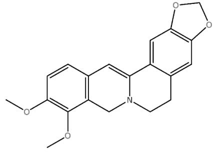 Dihydroberberine Molecule