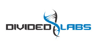 Divided Labs Logo 2